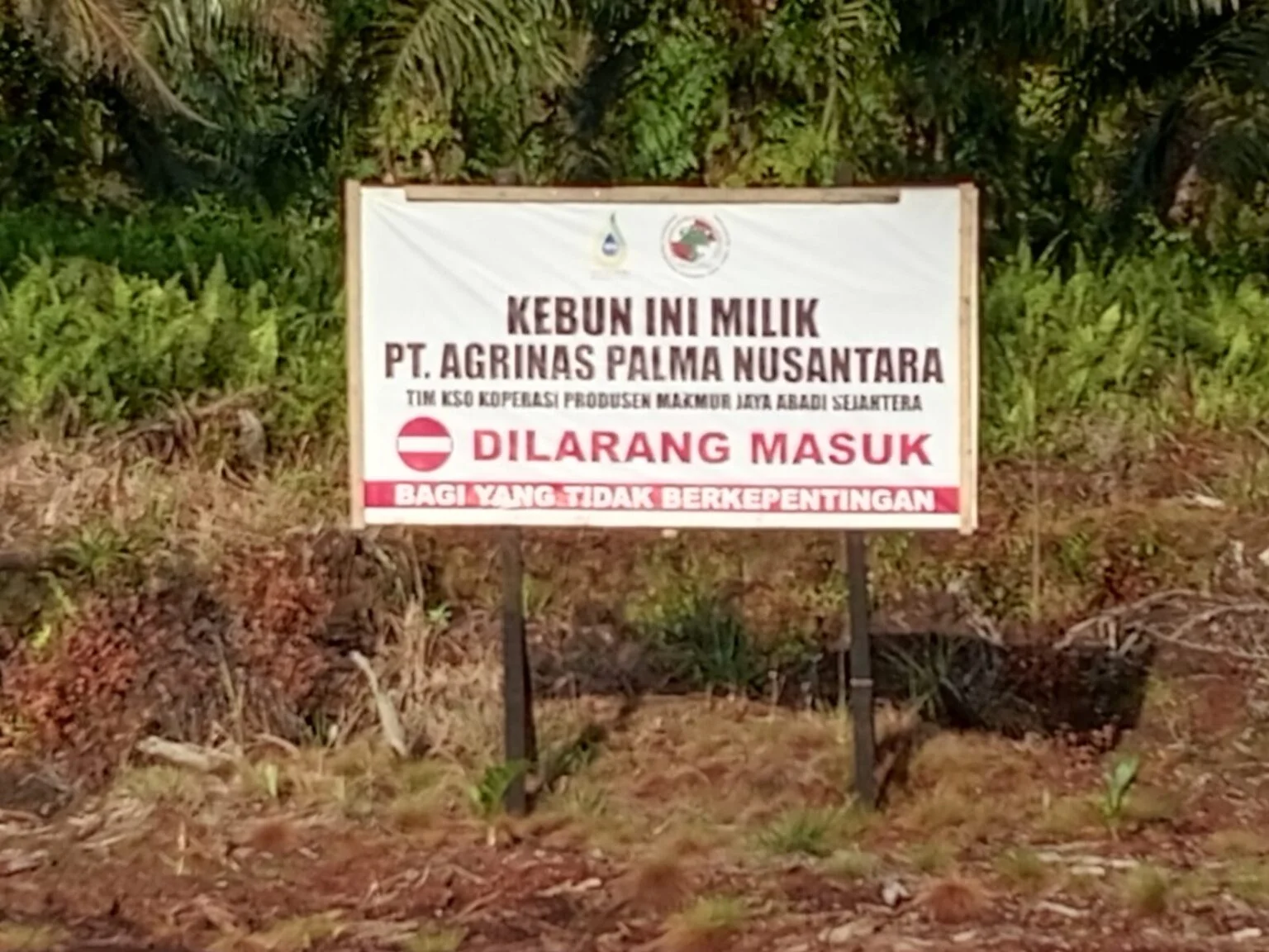 Lahan Sitaan Negara “Dikuasai Lagi”? KSO PMJAS Gurun Panjang Tuai Polemik
