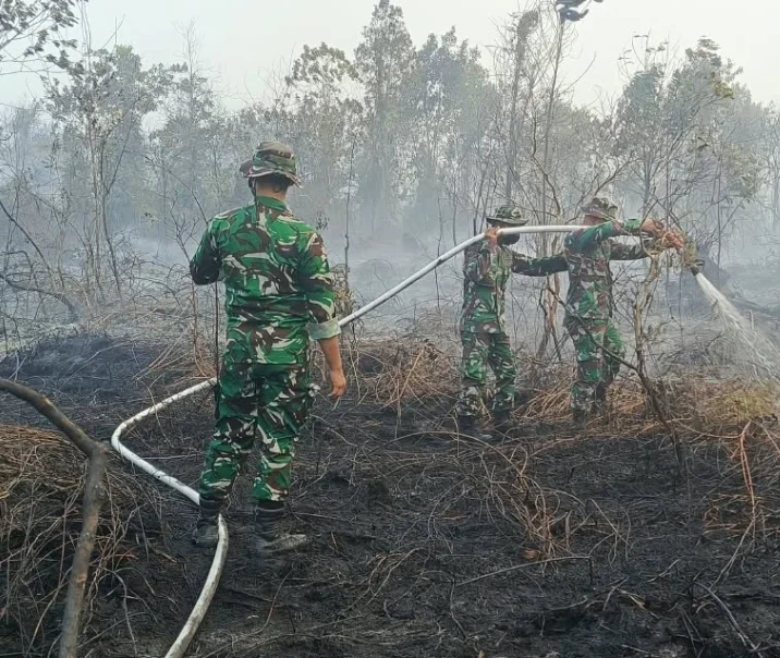 Sinergi TNI-Polri dan Tim Gabungan Bergerak Cepat Atasi Kebakaran Hutan dan Lahan di Rimba Panjang